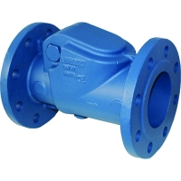 Swing Check Valve